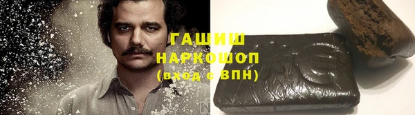 гашик Болотное