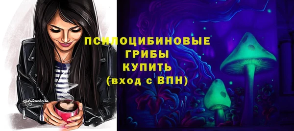 тгк Пролетарск