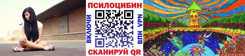 где купить   Балахна  Галлюциногенные грибы Psilocybine cubensis 